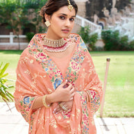Laxmipati Tissue Peach Saree